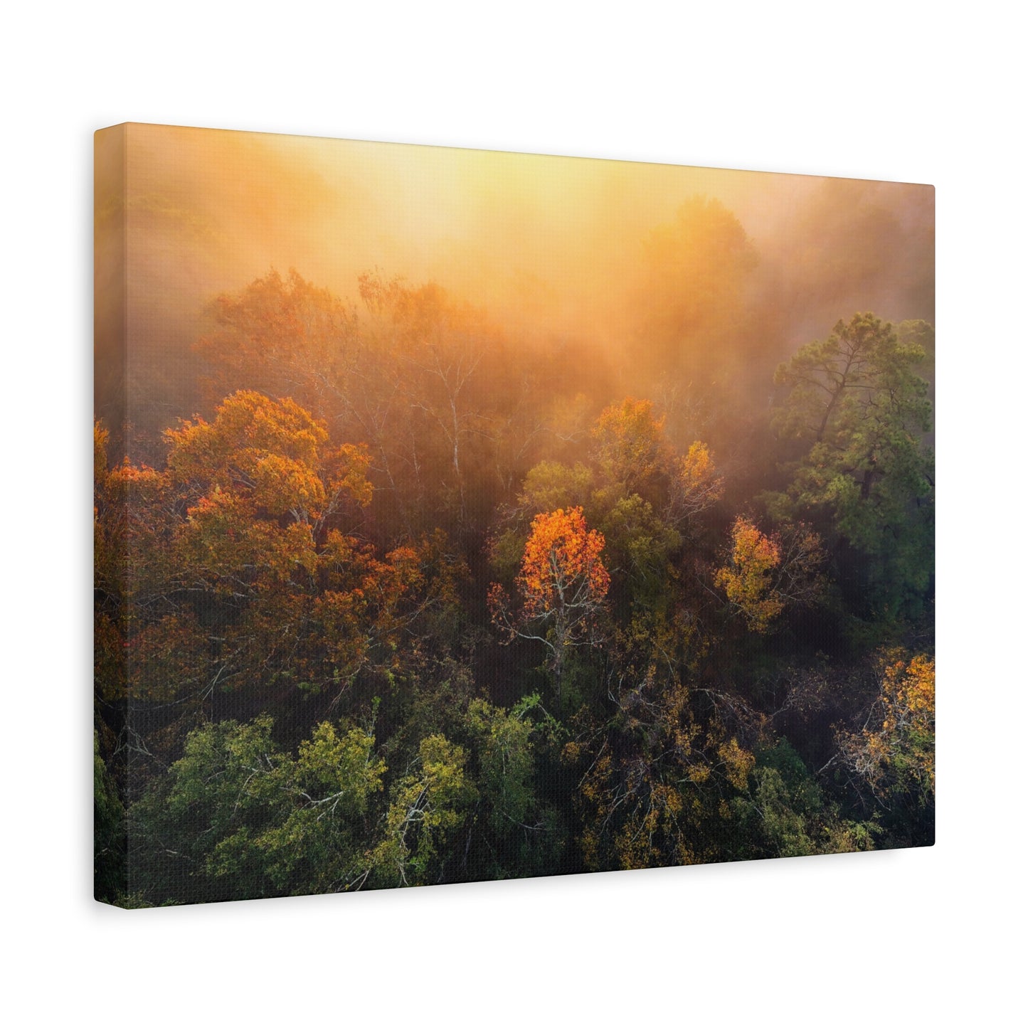 Autumn Sunrise Forest Canvas – Misty Fall Landscape Wall Art (Matte Stretched)