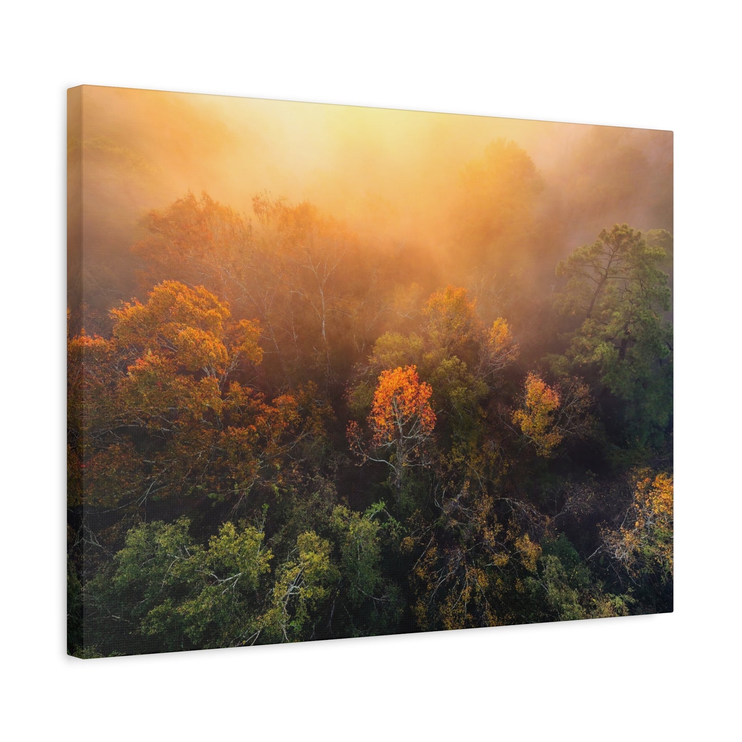 Autumn Sunrise Forest Canvas – Misty Fall Landscape Wall Art (Matte Stretched)