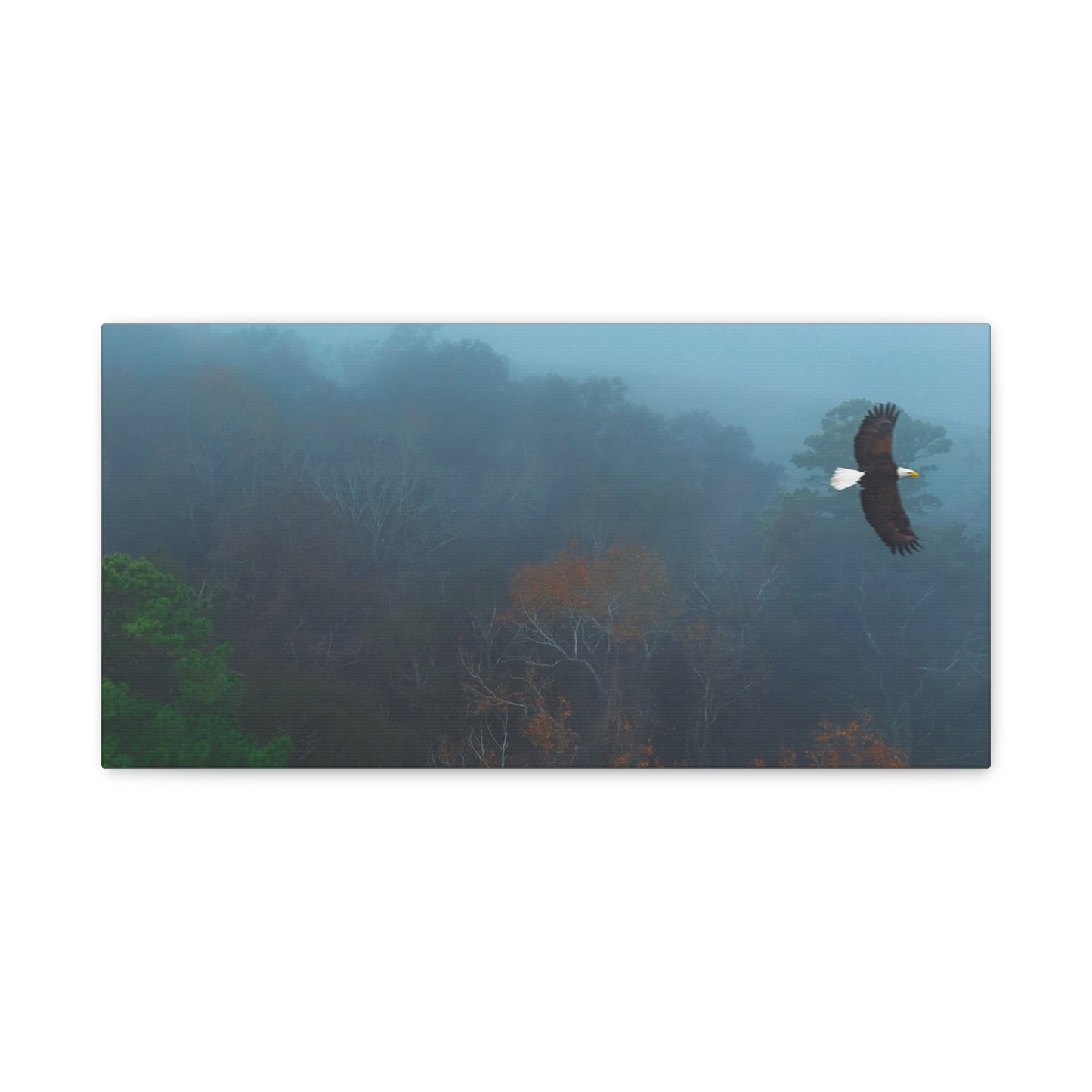 Bald Eagle Over Foggy Autumn Forest — Matte Stretched Canvas Wall Art