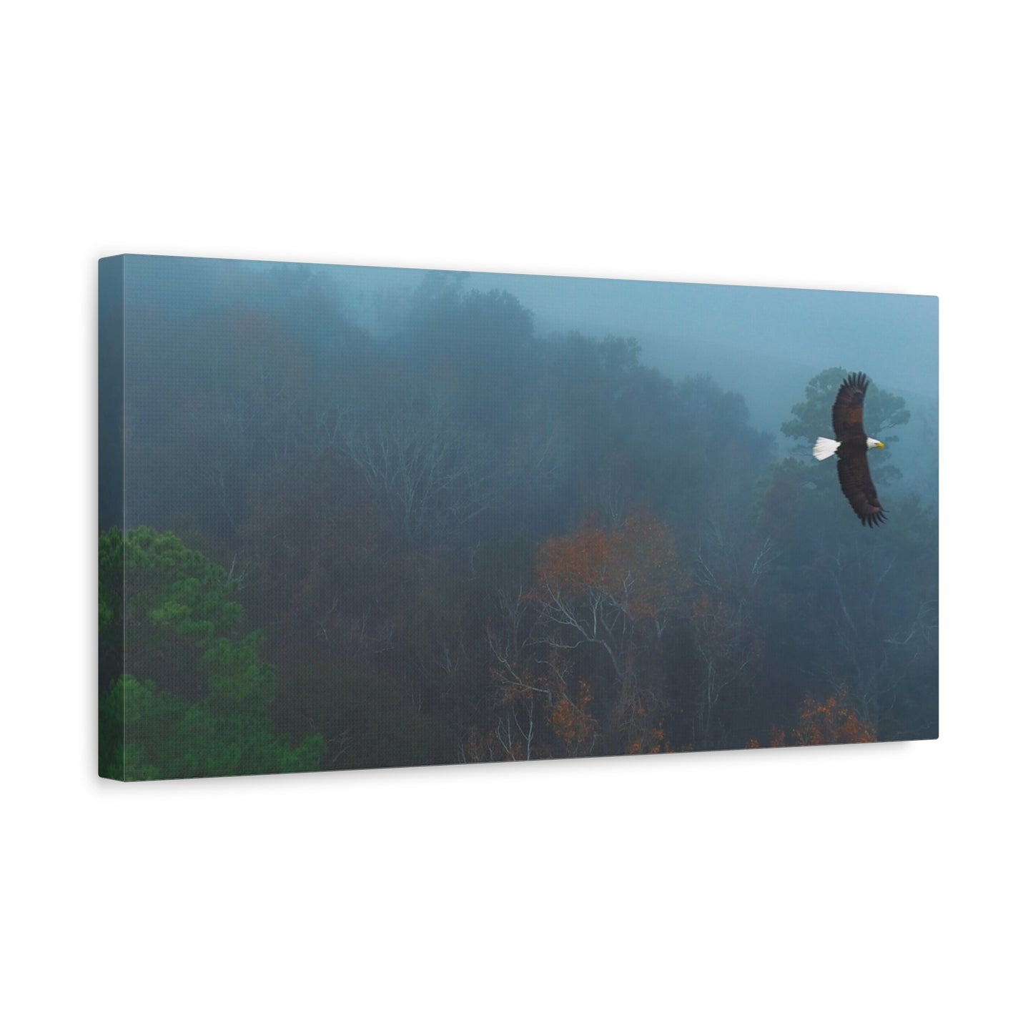 Bald Eagle Over Foggy Autumn Forest — Matte Stretched Canvas Wall Art