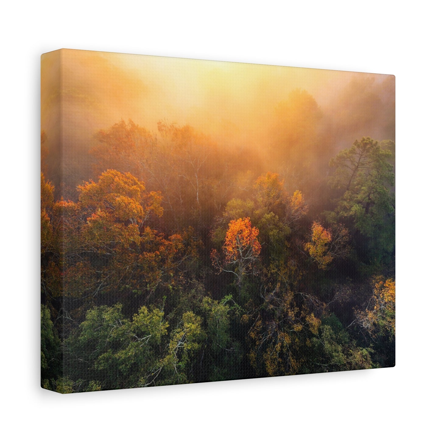 Autumn Sunrise Forest Canvas – Misty Fall Landscape Wall Art (Matte Stretched)