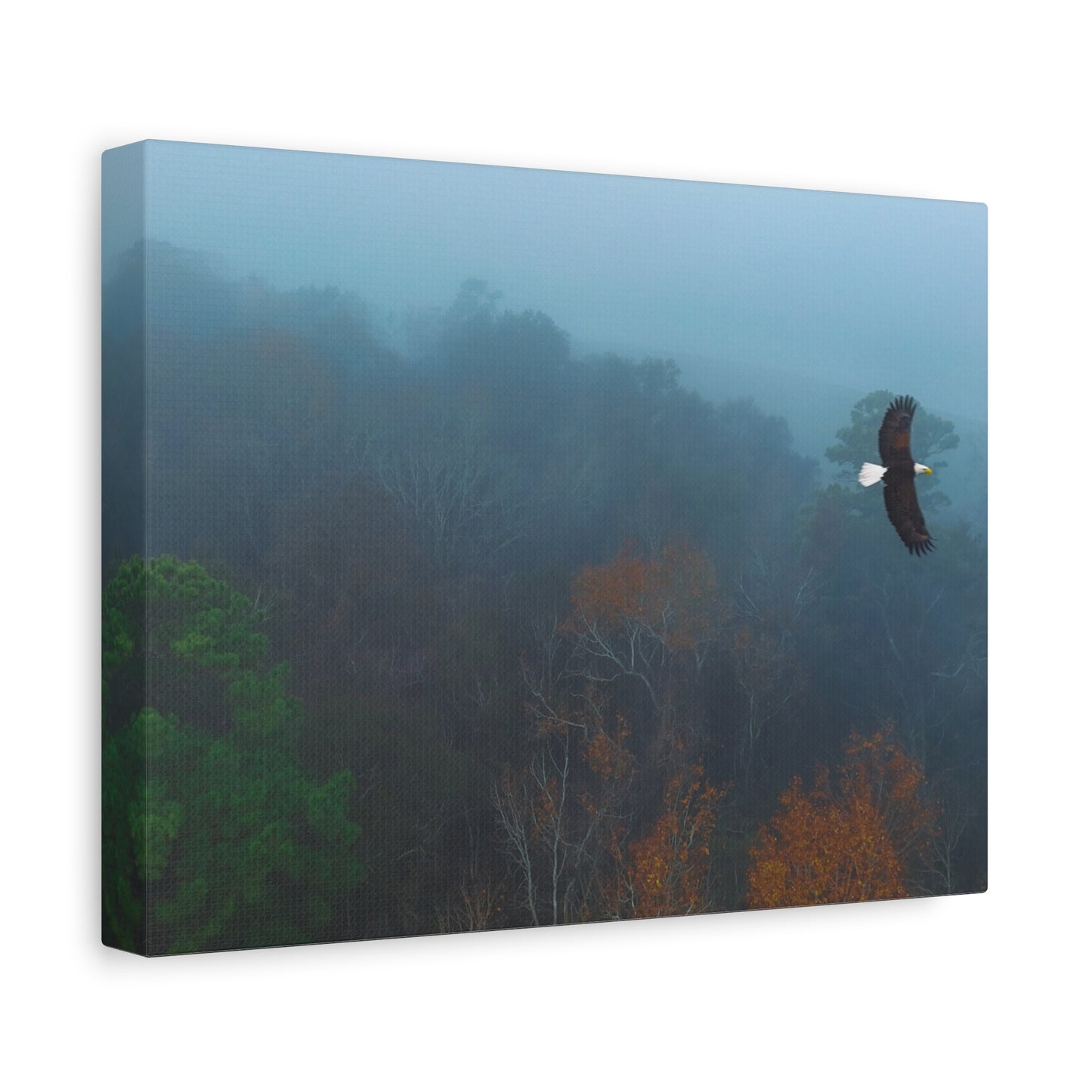 Bald Eagle Over Foggy Autumn Forest — Matte Stretched Canvas Wall Art