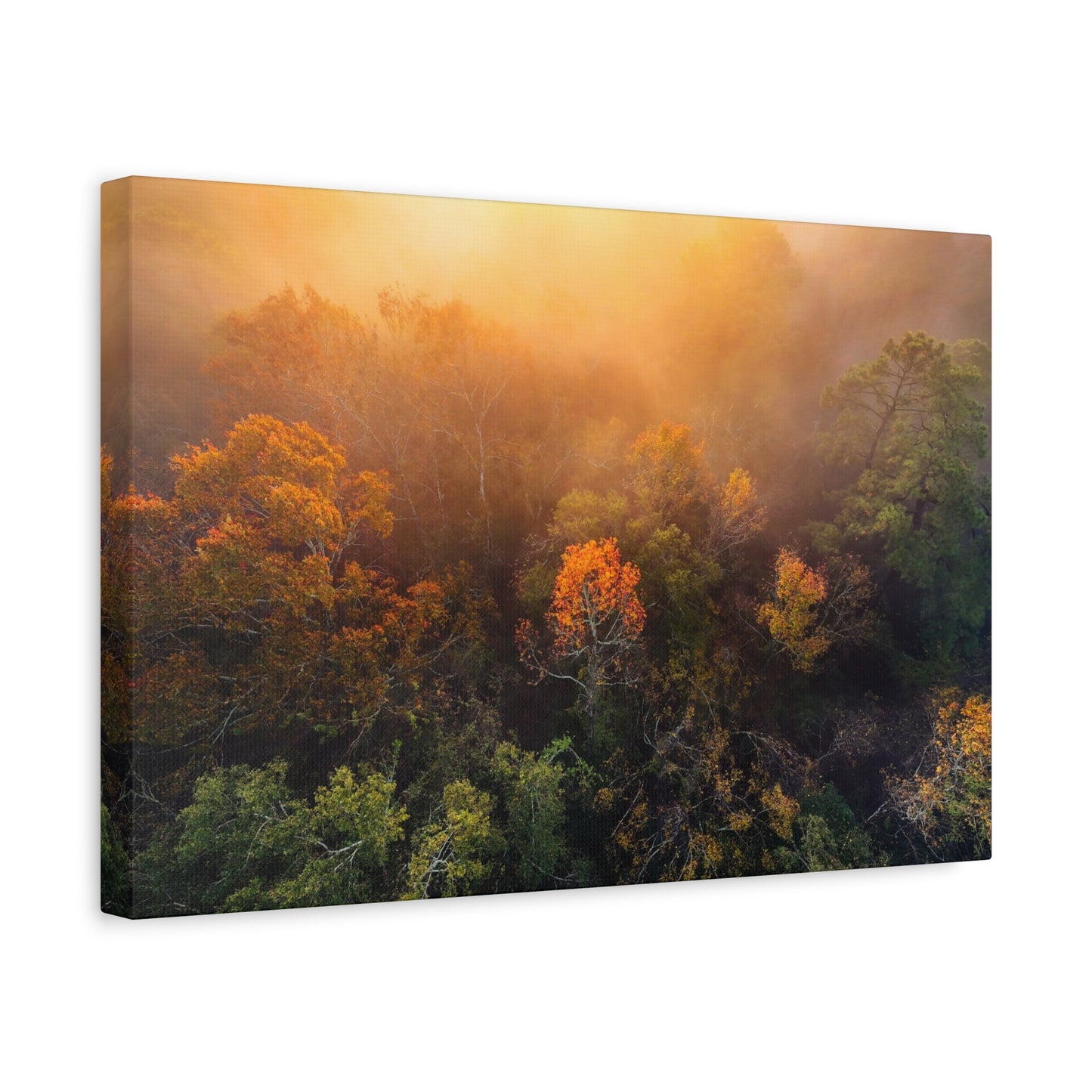 Autumn Sunrise Forest Canvas – Misty Fall Landscape Wall Art (Matte Stretched)