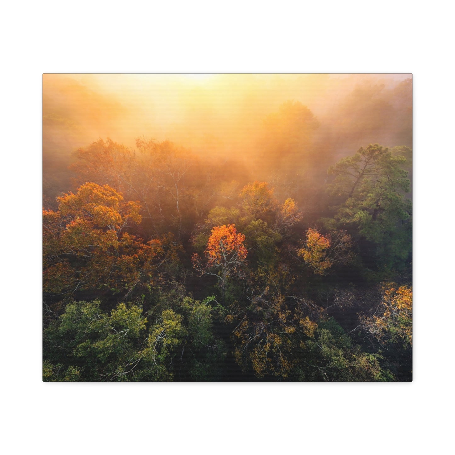 Autumn Sunrise Forest Canvas – Misty Fall Landscape Wall Art (Matte Stretched)