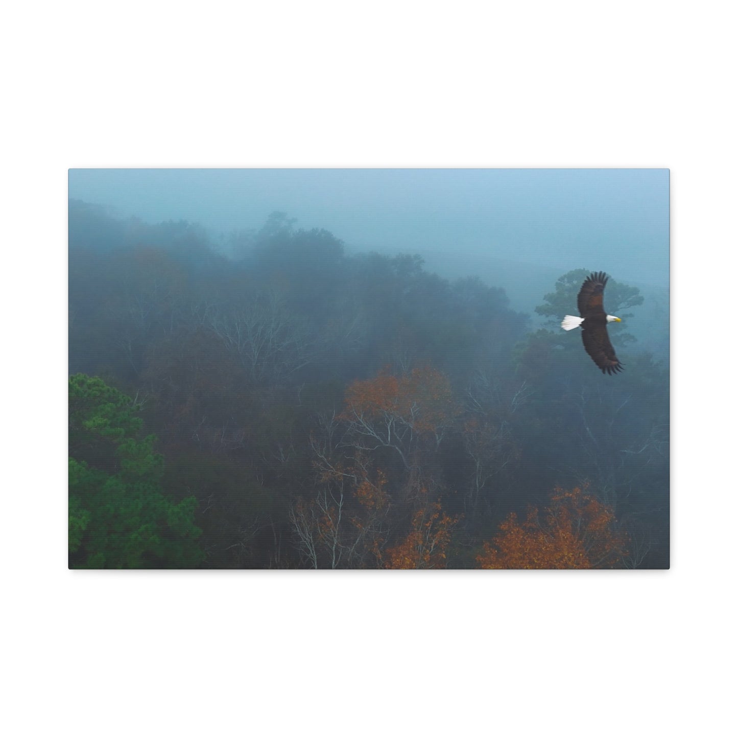Bald Eagle Over Foggy Autumn Forest — Matte Stretched Canvas Wall Art