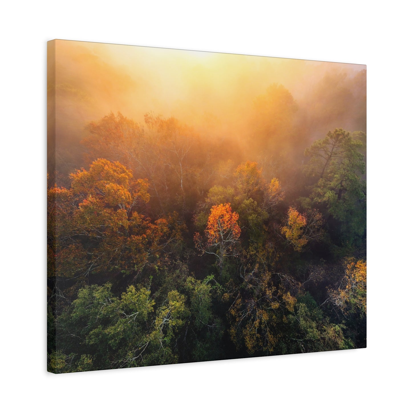 Autumn Sunrise Forest Canvas – Misty Fall Landscape Wall Art (Matte Stretched)