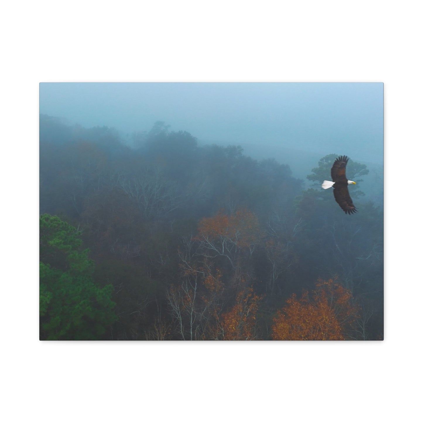 Bald Eagle Over Foggy Autumn Forest — Matte Stretched Canvas Wall Art