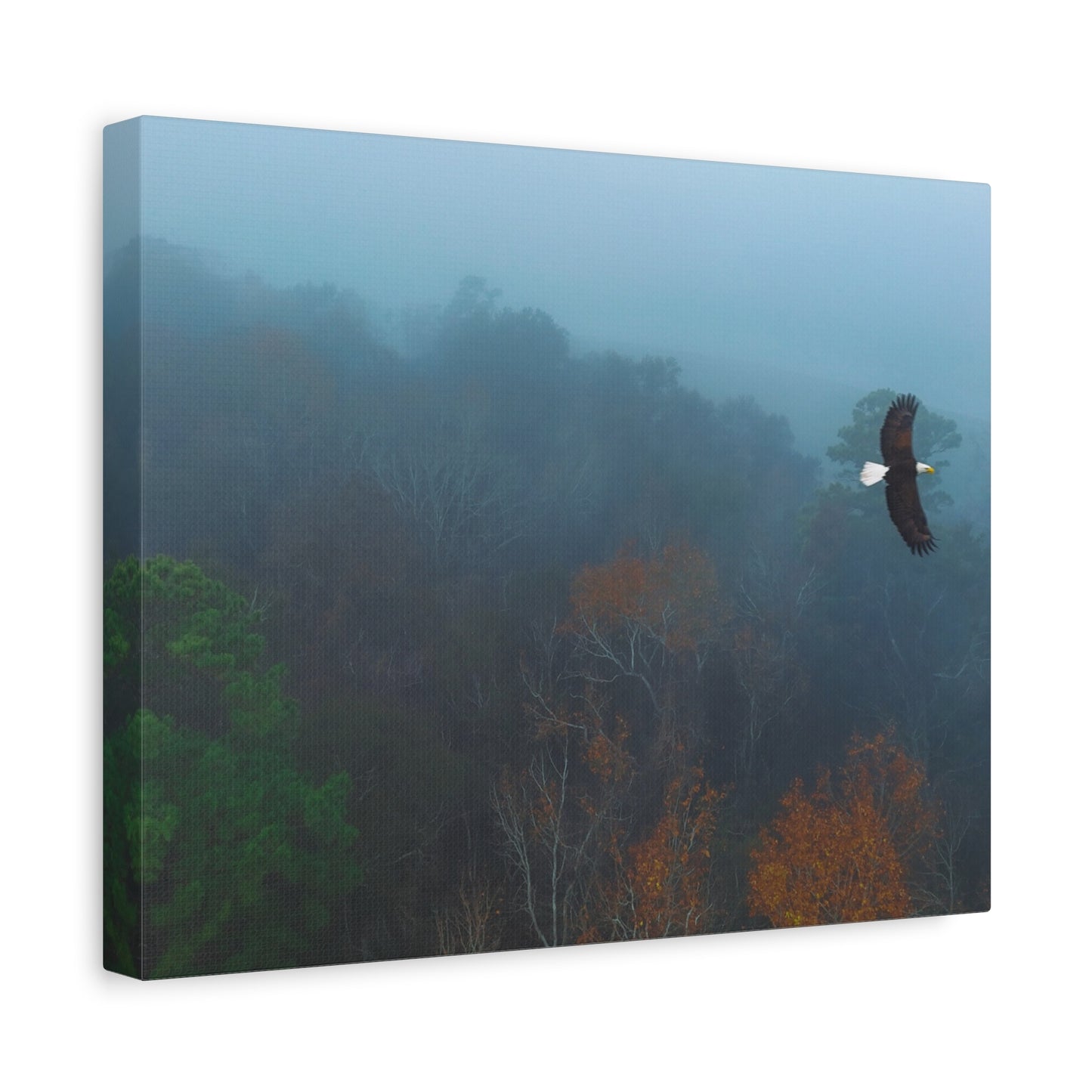 Bald Eagle Over Foggy Autumn Forest — Matte Stretched Canvas Wall Art