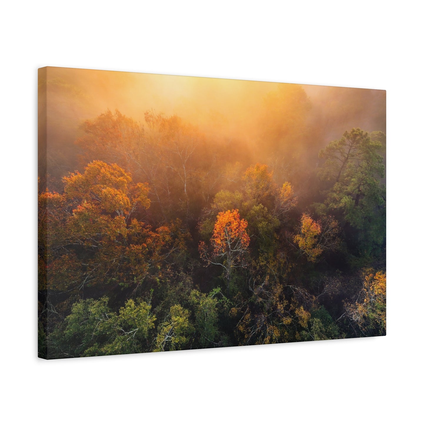 Autumn Sunrise Forest Canvas – Misty Fall Landscape Wall Art (Matte Stretched)