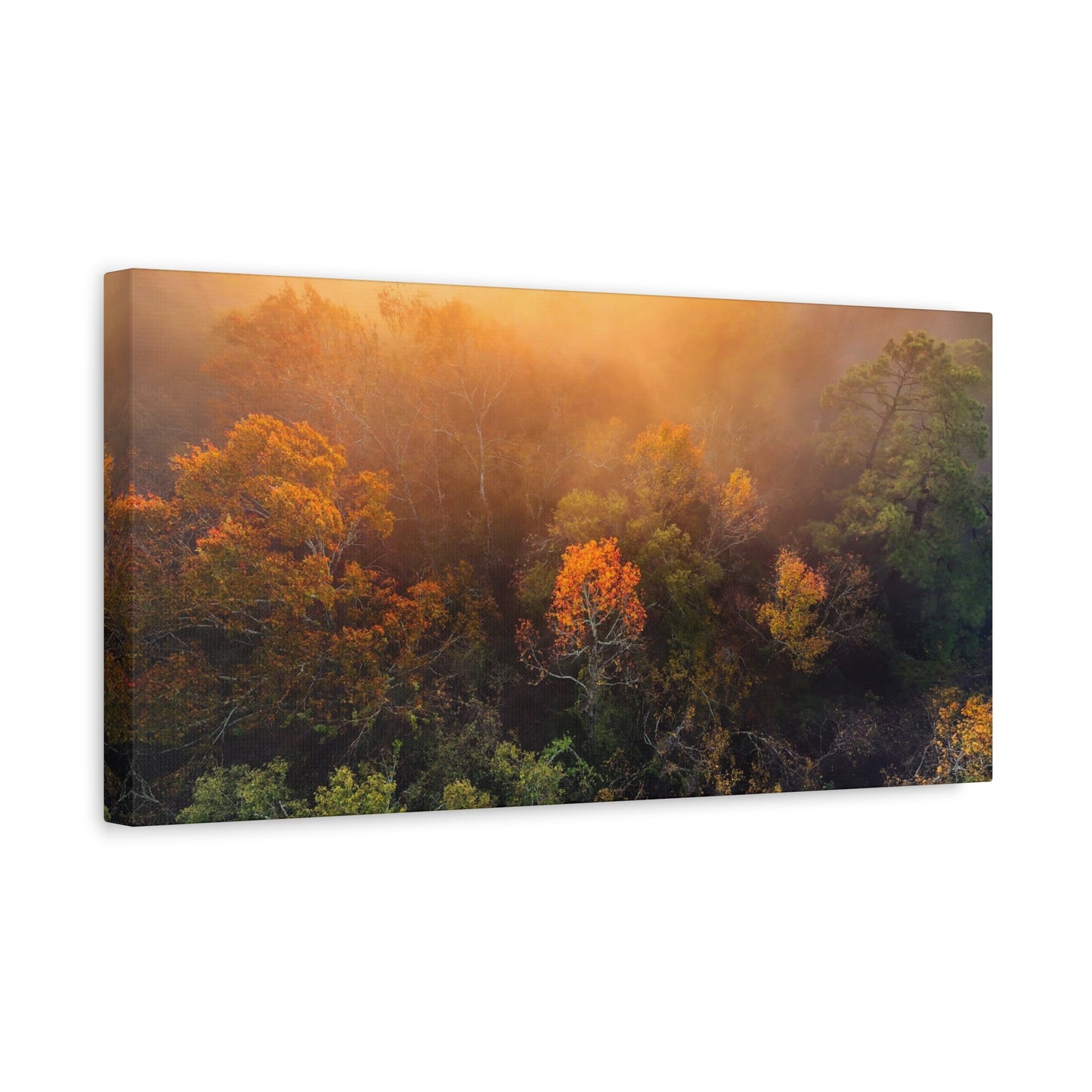 Autumn Sunrise Forest Canvas – Misty Fall Landscape Wall Art (Matte Stretched)