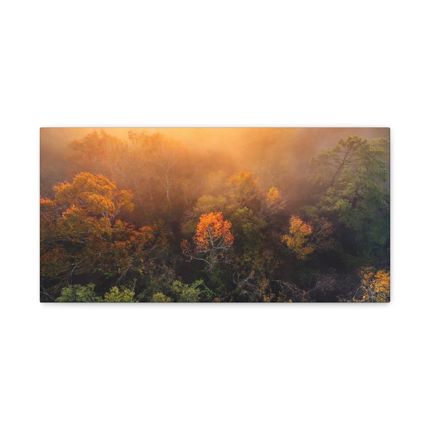 Autumn Sunrise Forest Canvas – Misty Fall Landscape Wall Art (Matte Stretched)