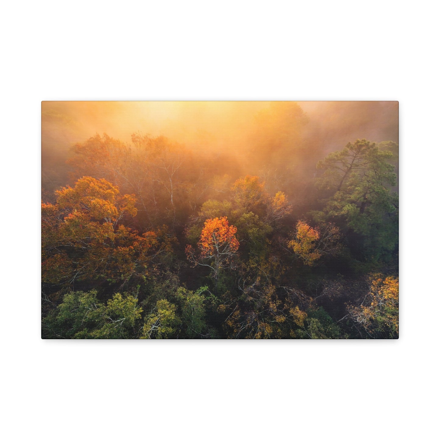 Autumn Sunrise Forest Canvas – Misty Fall Landscape Wall Art (Matte Stretched)