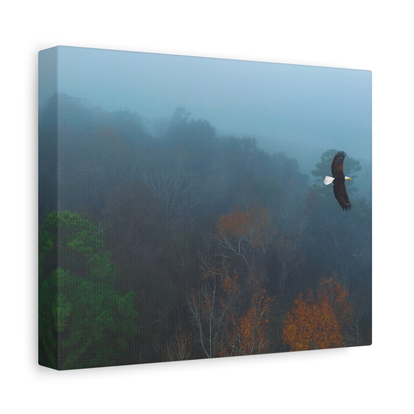 Bald Eagle Over Foggy Autumn Forest — Matte Stretched Canvas Wall Art