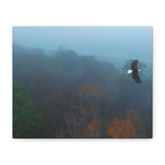 Bald Eagle Over Foggy Autumn Forest — Matte Stretched Canvas Wall Art
