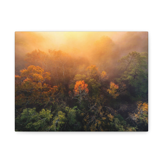 Autumn Sunrise Forest Canvas – Misty Fall Landscape Wall Art (Matte Stretched)