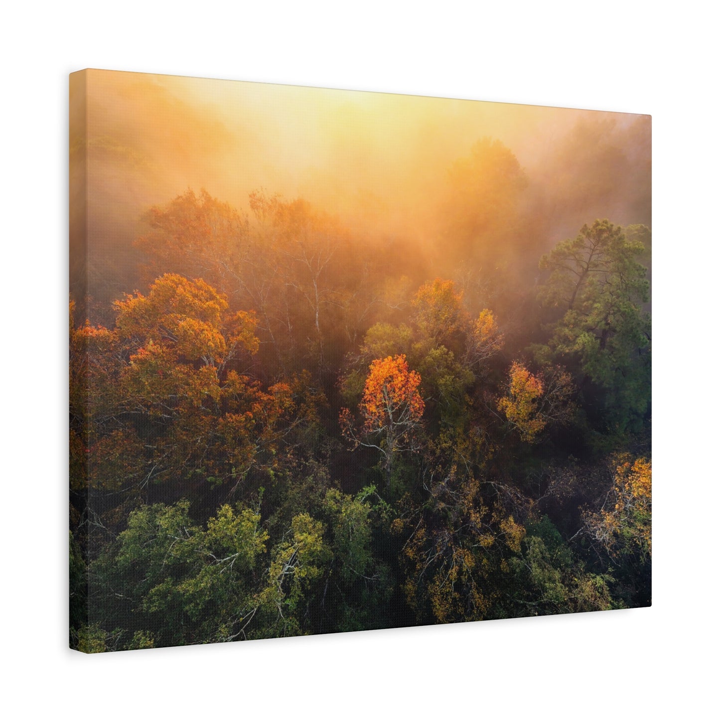 Autumn Sunrise Forest Canvas – Misty Fall Landscape Wall Art (Matte Stretched)