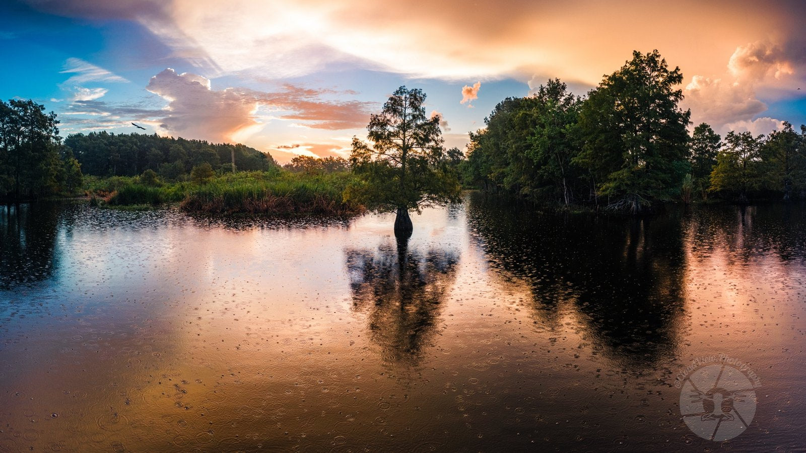 A landscape at first light, warm and open.