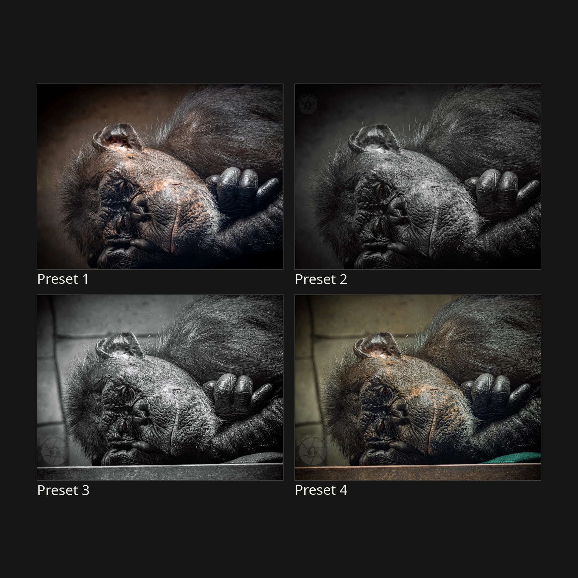 Approved preset preview with the labels Preset 1, Preset 2, Preset 3 and Preset 4.